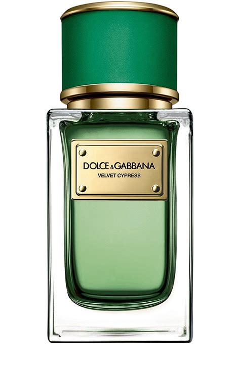 Dolce & Gabbana Velvet Cypress Eau De Parfum Spray 